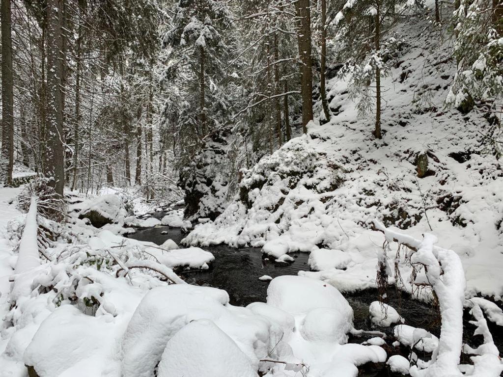 Apartment Am Wasserfall Mit Sauna & Top-Lage Feldberg  Exteriör bild