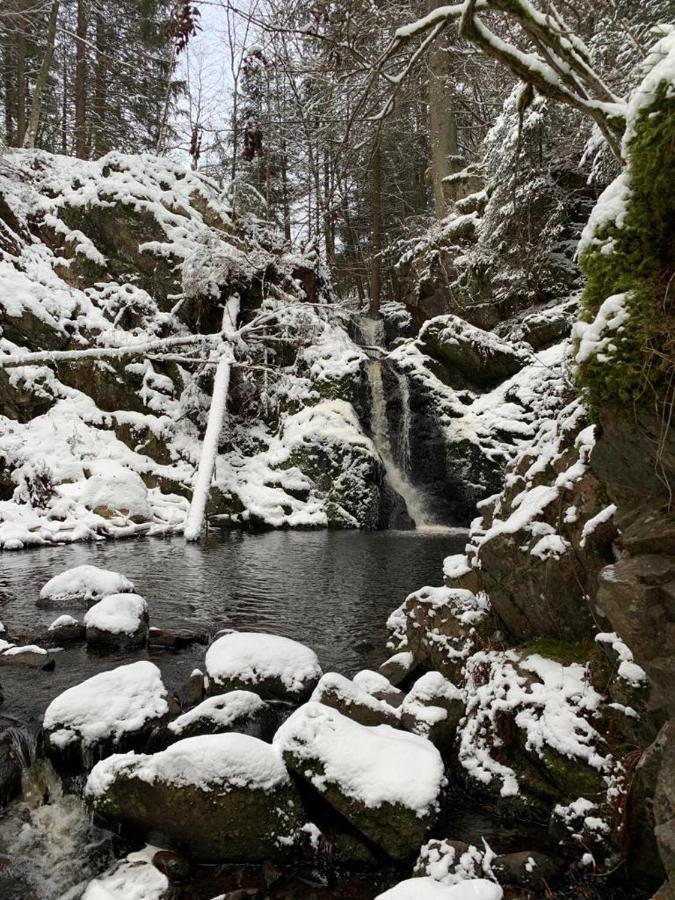 Apartment Am Wasserfall Mit Sauna & Top-Lage Feldberg  Exteriör bild